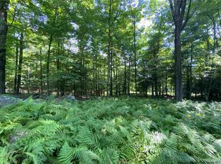 110 Ridgeview Rd, Kerhonkson, NY 12446