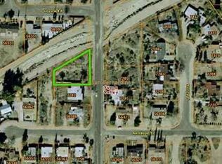 Cholla, Johnson valley, CA 92284