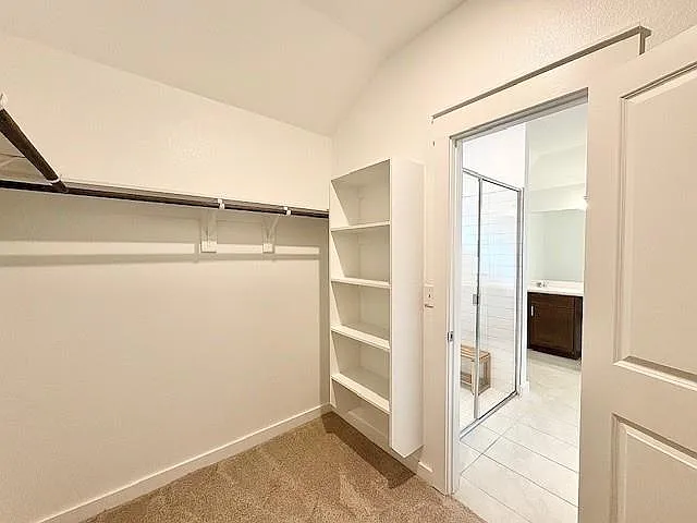 15308 Grenadine Bloom Cv — Photo 10