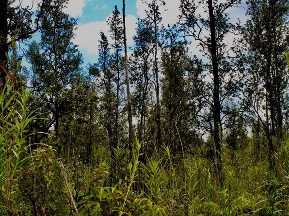 Road 6 Ooaa Lot 4408, Kurtistown, HI 96760