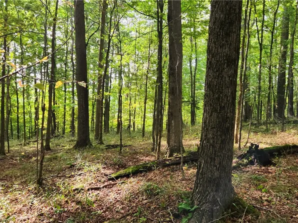 Humphrey Rd, Great Valley, NY 14741