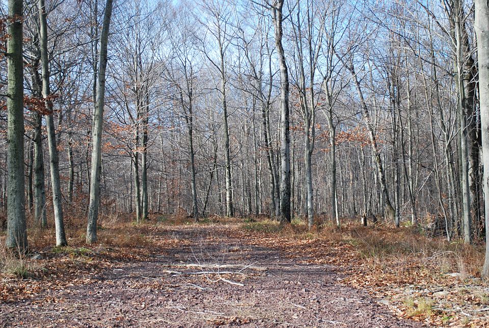 1st image of The Woods At Duck Hbr Lot 82