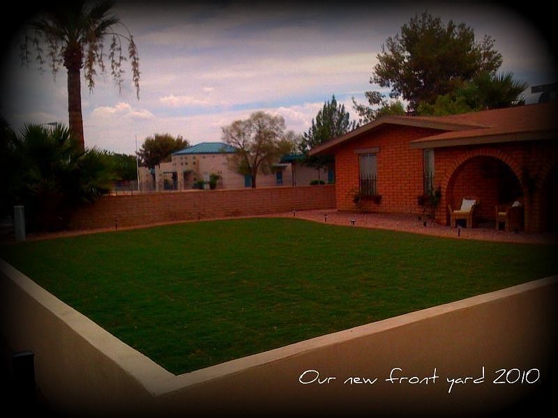 newly done front yard 