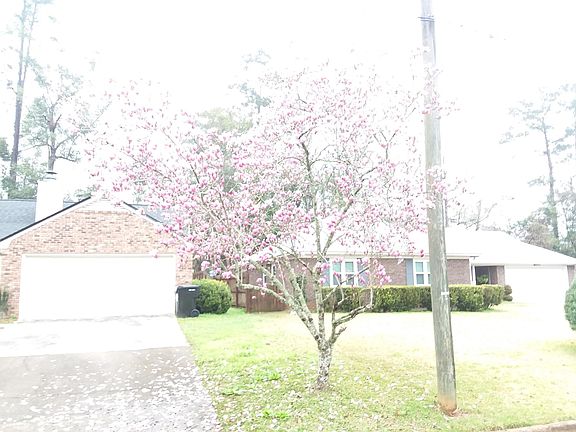 View of garage with the Japanese Magnolia in the forground