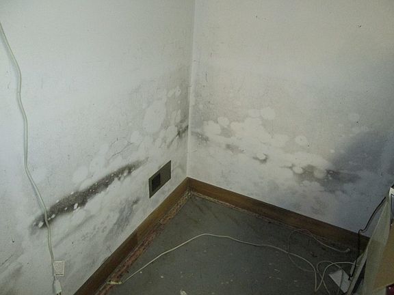 Both foundation & pad leak