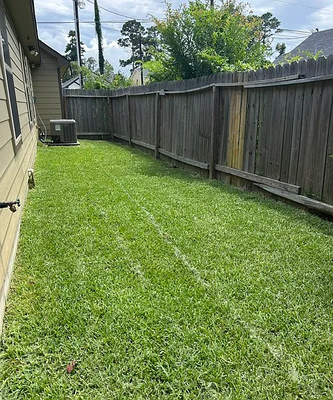 other side yard