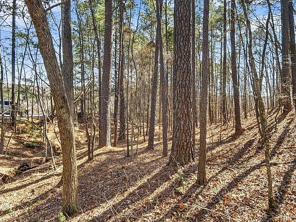 5th image of 0 Globe Rd