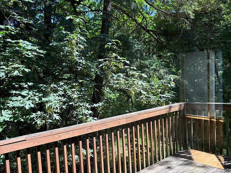 14225 Sherbrook Pl — Photo 9