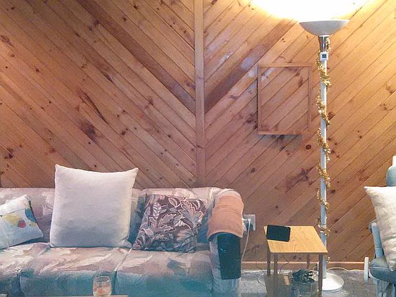 Den room real wood wall.