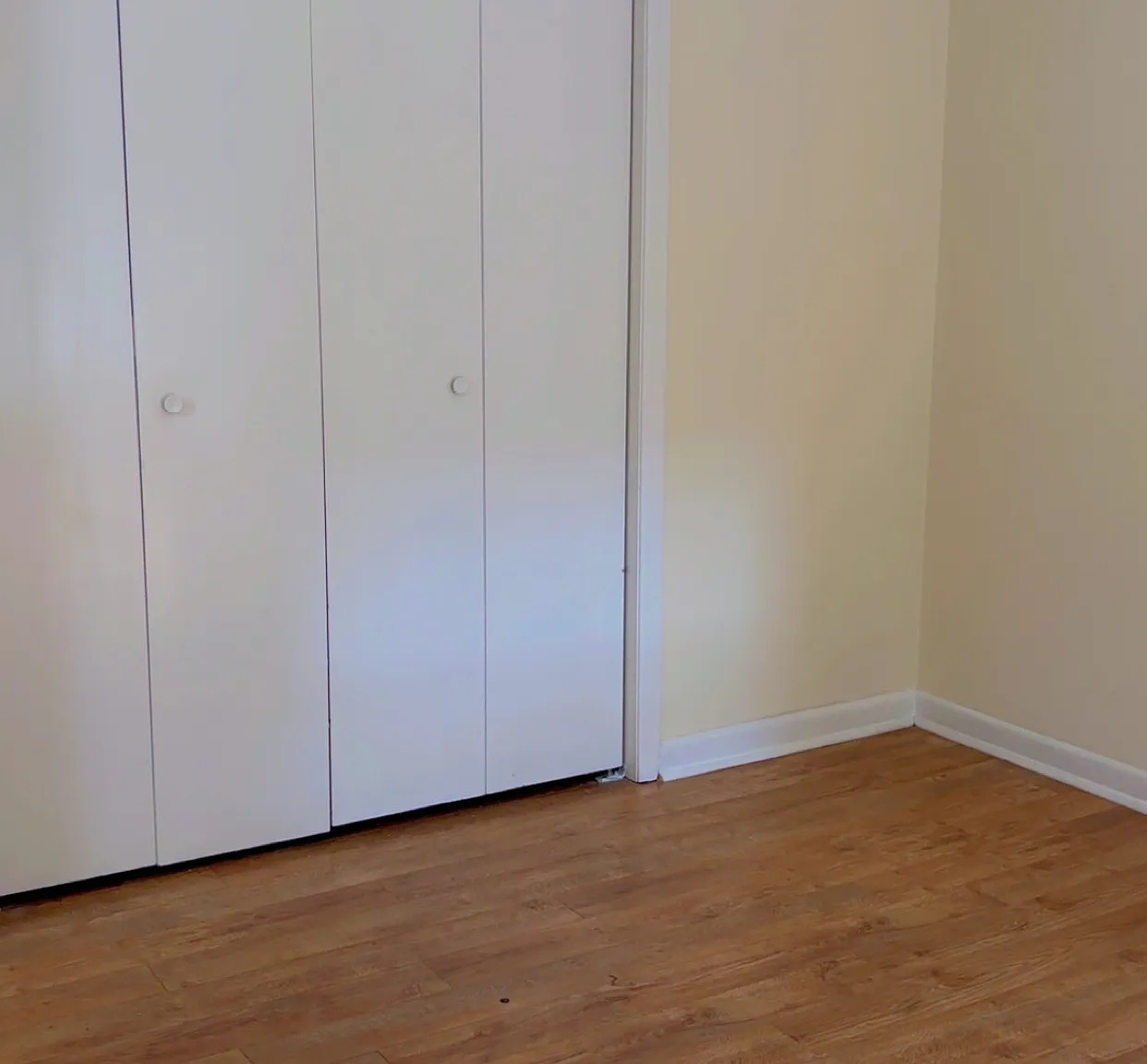2 bed, 1.5 bath, 1000 sqft, $1,200 — Photo 4