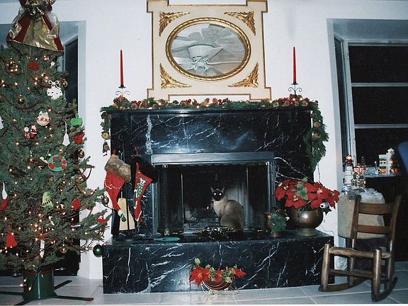 Marble Fireplace in Family Room