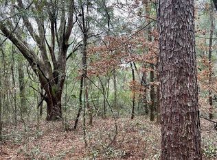 SW Elim Church Rd LOT 4, Fort White, FL 32038