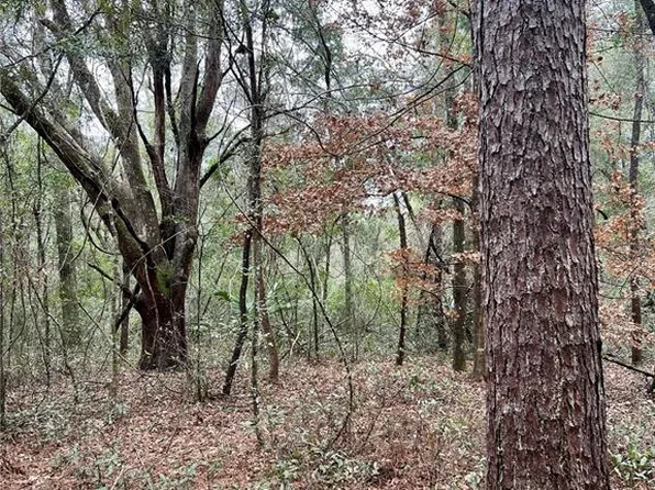 SW Elim Church Rd Lot 4, Fort White, FL 32038