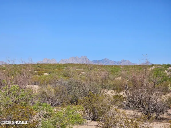 31 Tucson Ave, Las Cruces, NM 88012