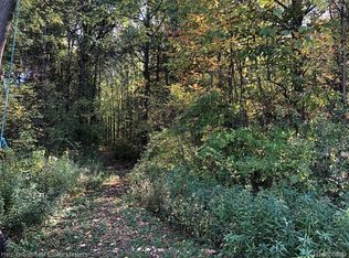 7627 Lapeer Rd, Goodells, MI 48027