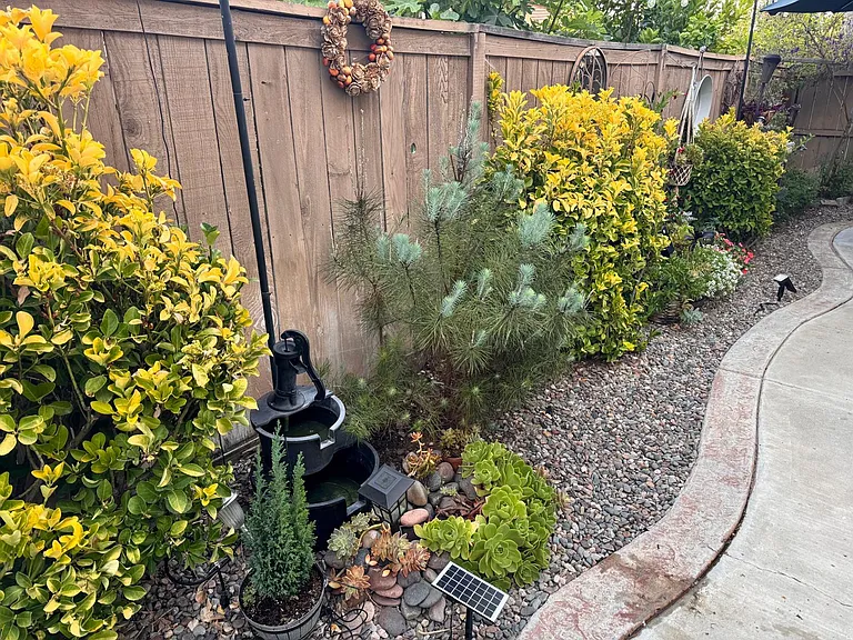 1161 Chimney Flats Ln — Photo 25
