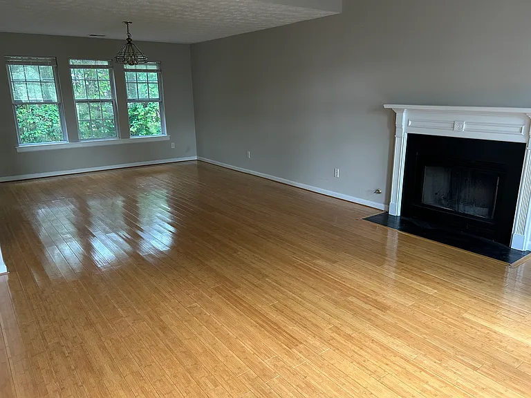 733 Vinebrook Ln — Photo 3