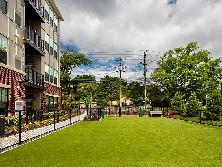WAG pet park