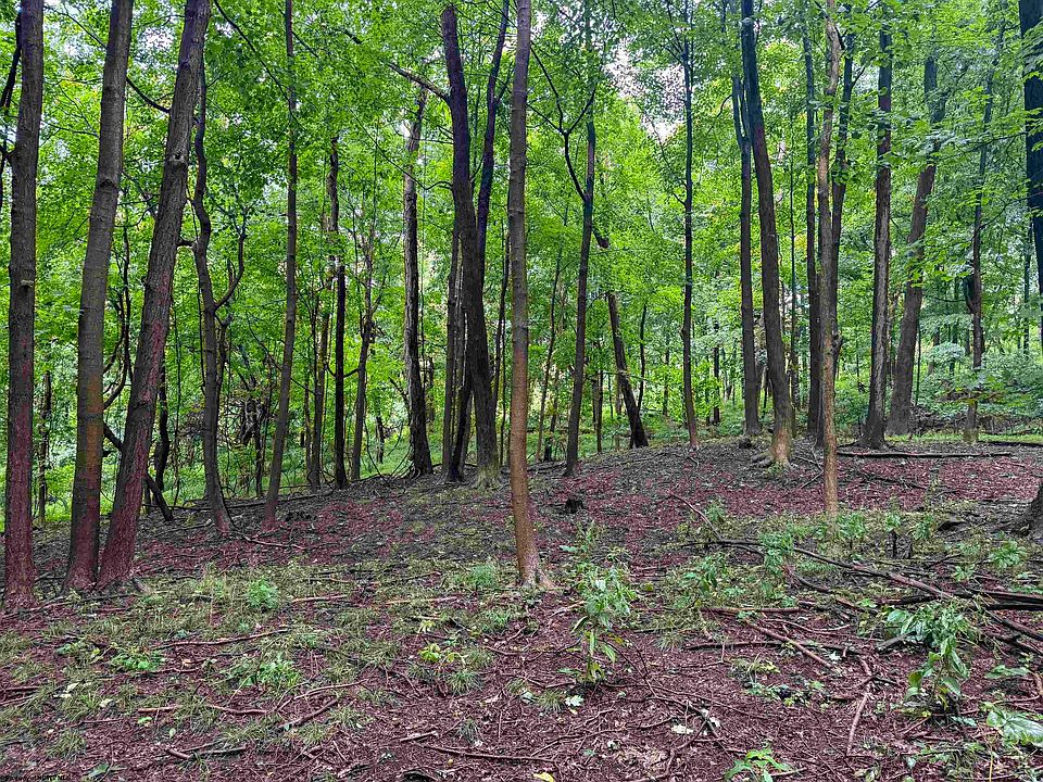 1st image of 1 Weidman Run Rd