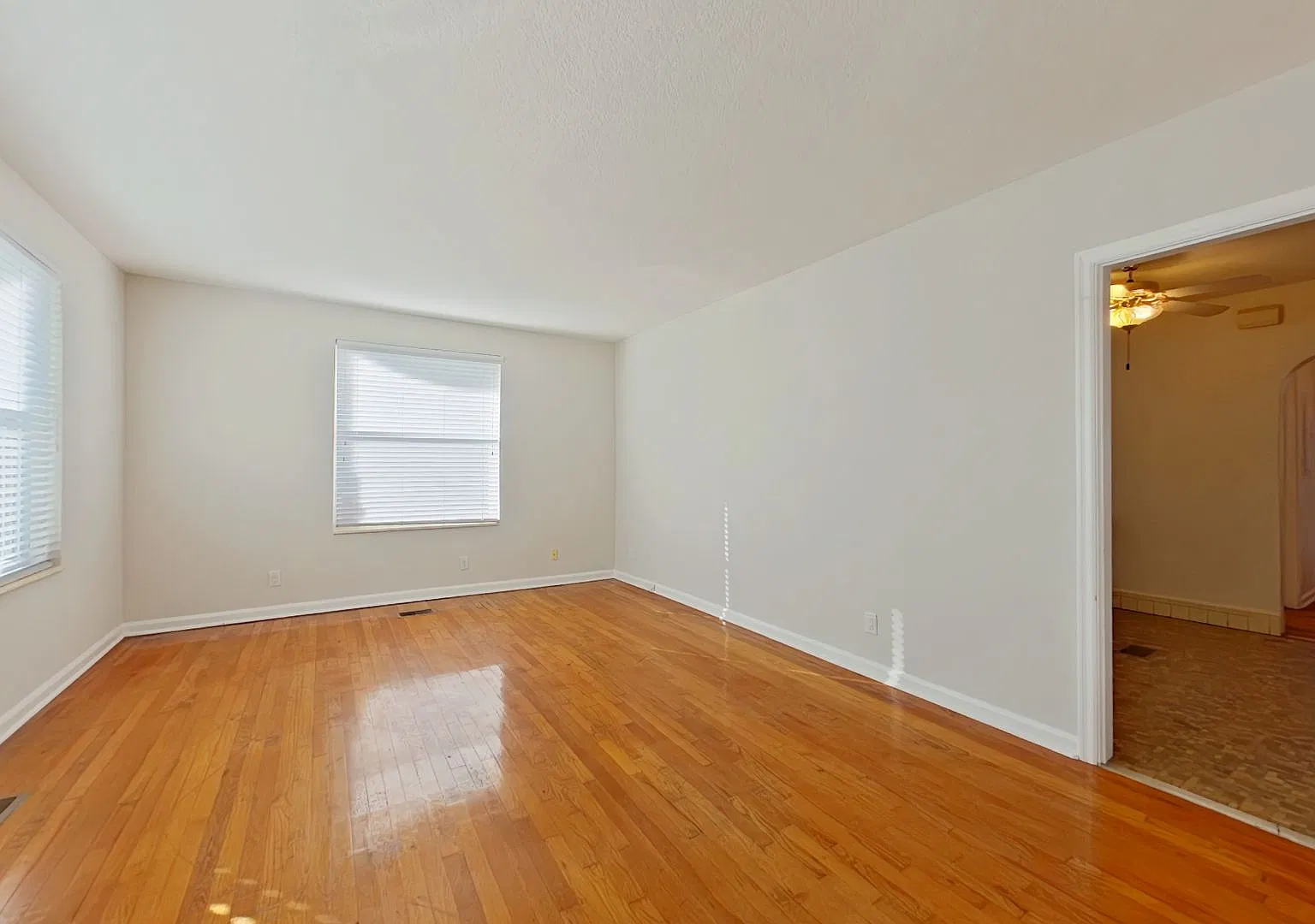 Belmont Terrace 1253 — Photo 3