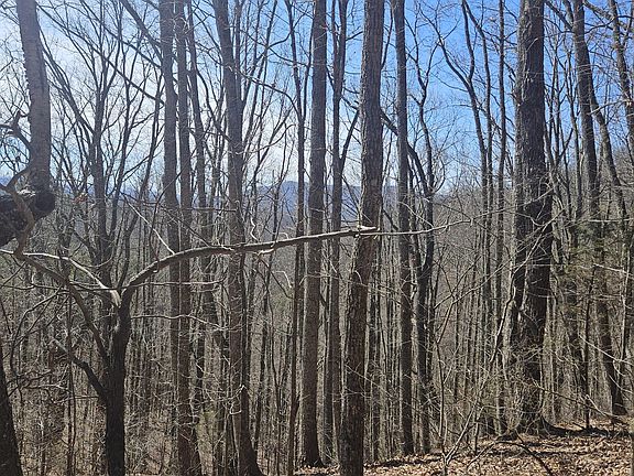 5th image of 0 Lick Creek Rd