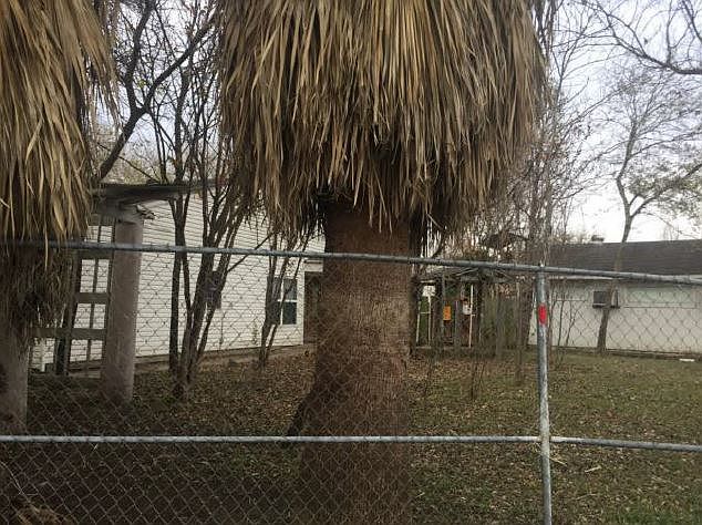 2nd image of 6002 Sunrise Bend Dr