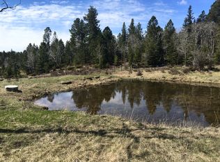 0 Boles Canyon-fs #117, Hill City, SD 57745