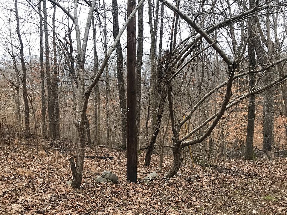 2nd image of 338 Randy Dr