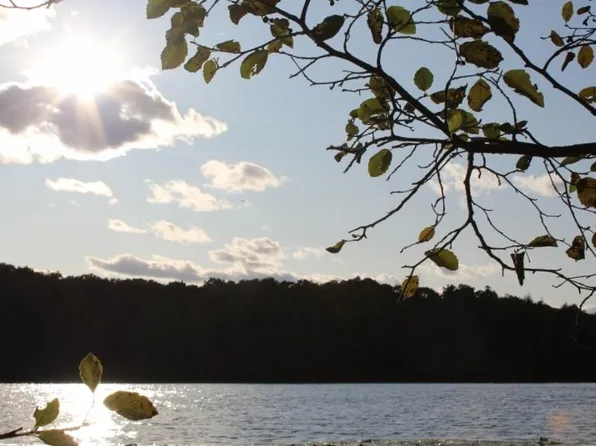 LOT 4 Forest Ln, Pickerel, WI 54465