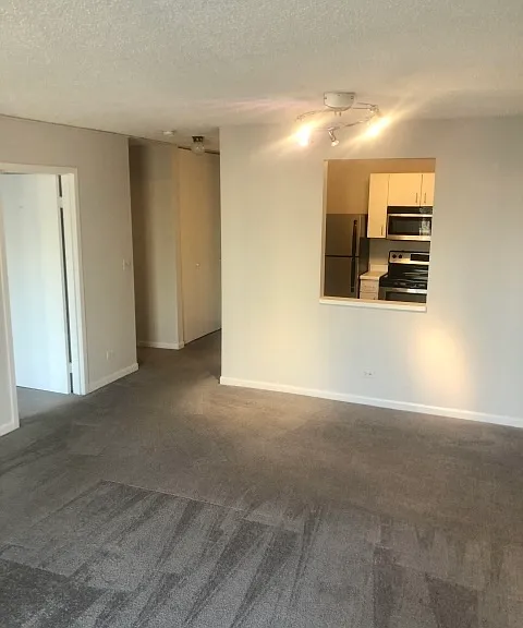 1212 N La Salle Dr #903 — Photo 10