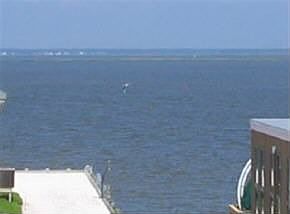 View of Bay from Deck
