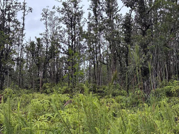 Road 5 Lot 3866, Kurtistown, HI 96760