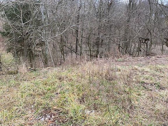 5th image of Madison Hindsville #7205