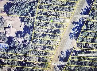 7251 Treiman Blvd #40, Webster, FL 33597