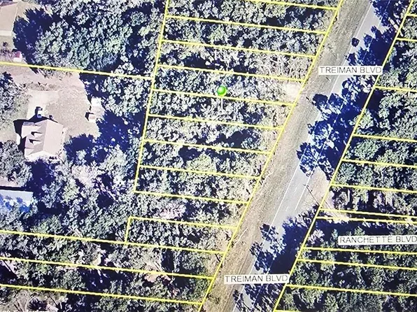7251 TREIMAN BOULEVARD LOT 40, WEBSTER, FL 33597