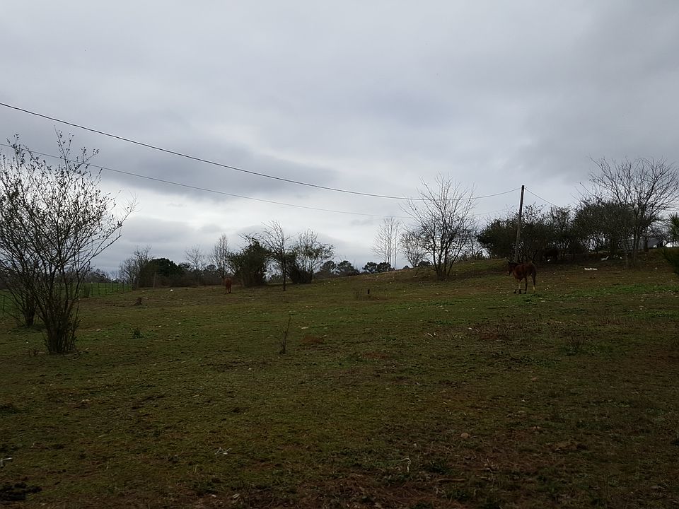 build your dream home