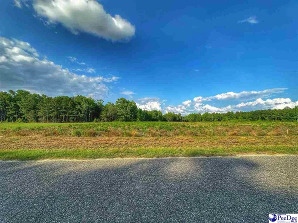LOT 2 Oliver Rd, Hamer, SC 29547