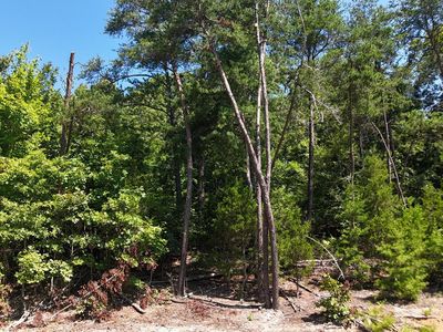 LOT 2 Flat Woods Rd, Dandridge, TN, 37725