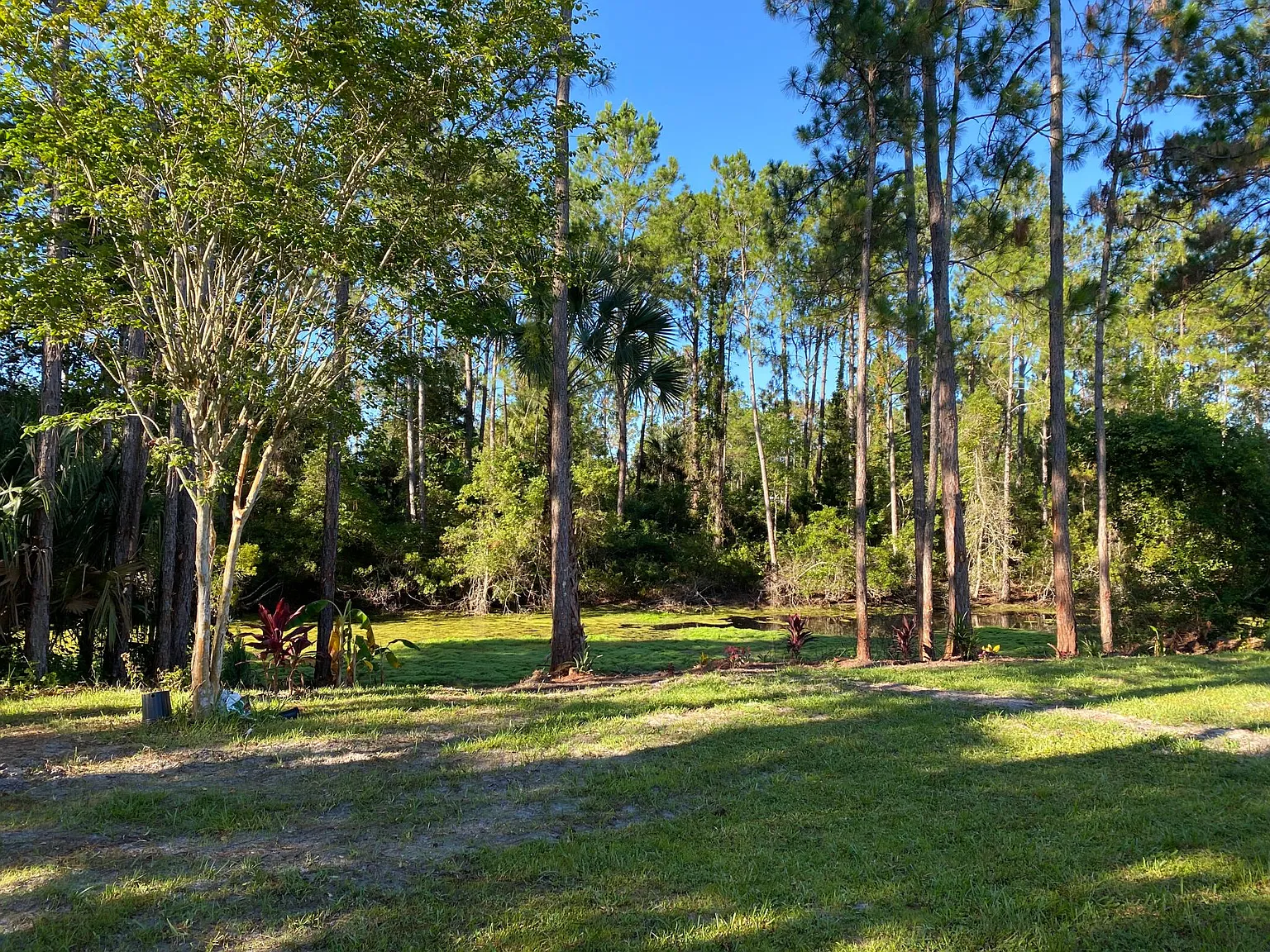 Robinson Dr, Palm Coast — Photo 3
