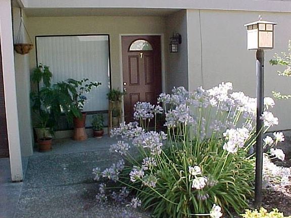 More Court Yard View