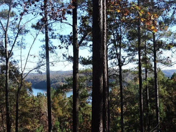 333 Long Cove Trl, Salem, SC 29676