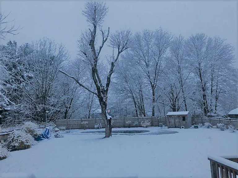 7 Lee Rd — Photo 26
