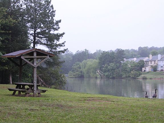 Backyard (HOA-maintained)