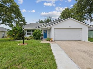 10317 Ravines Dr, New Port Richey, FL 34654