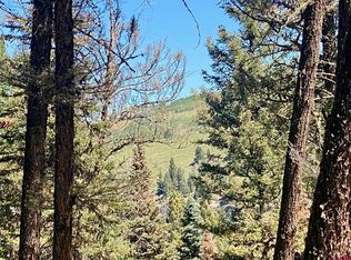 768 Deer Trl, Arrowhead area, CO 81220