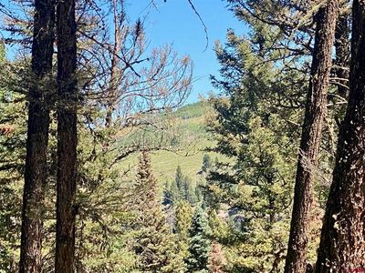 768 Deer Trail, Arrowhead area, CO, 81220