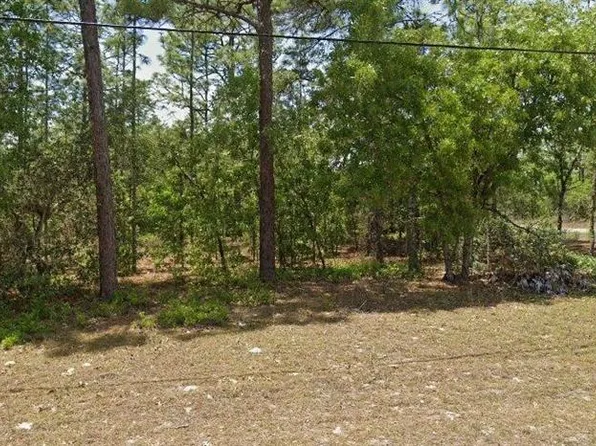 7068 N Fort Smith Ter Lot 1, Dunnellon, FL 34434