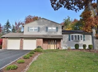 38 Polhemus Ter, Whippany, NJ 07981