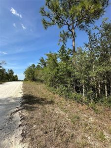 14106 Eastern Phoebe Rd #2, Brooksville, FL, 34614