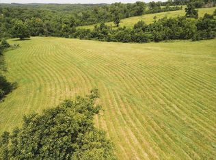 0 County Road 184, Dora, MO 65637